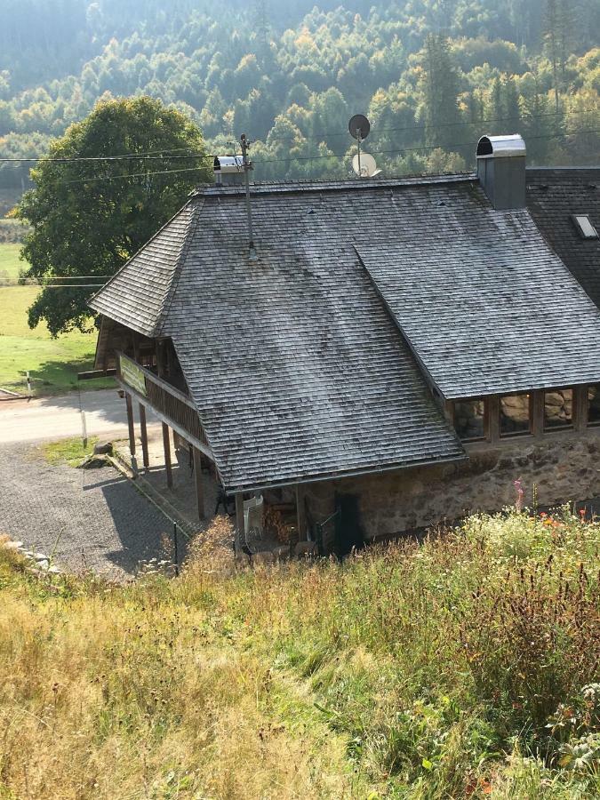 Romantisches Schwarzwaldhaus Aule Экстерьер фото